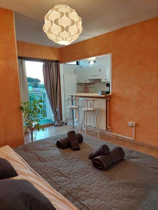 Jolie Appartement A Talence Extérieur photo